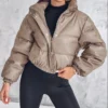 Winter Jacket Women's 2024 Casual Basic Fashion New In Coat Pu Leather Stand Up Collar Snap Zipper Windproof Warm Down Jacket